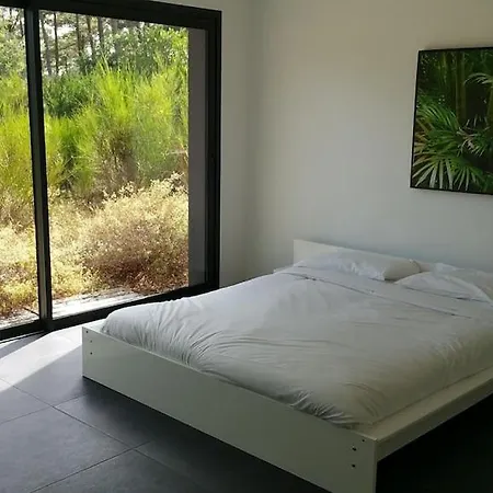 California Piscine Chauffee 14x4m Moulleau Abatilles 10 Pers *