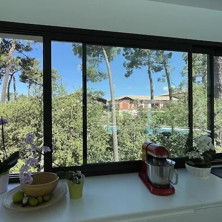 California Piscine Chauffee 14x4m Moulleau Abatilles 10 Pers