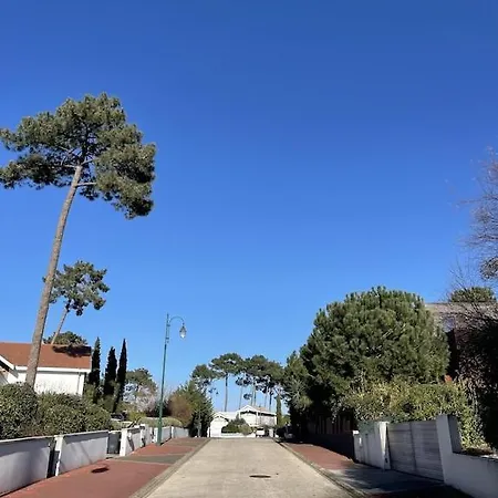 California Piscine Chauffee 14x4m Moulleau Abatilles 10 Pers Villa