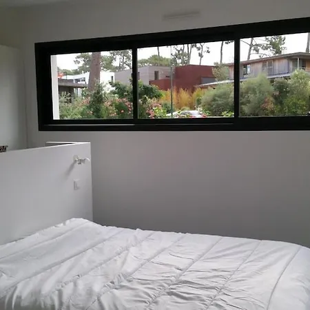 California Piscine Chauffee 14x4m Moulleau Abatilles 10 Pers * Arcachon