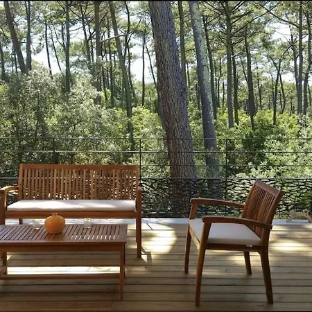 California Piscine Chauffee 14x4m Moulleau Abatilles 10 Pers Villa