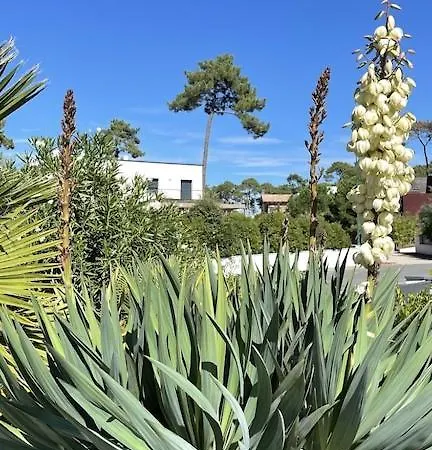 Villa California Piscine Chauffee 14x4m Moulleau Abatilles 10 Pers