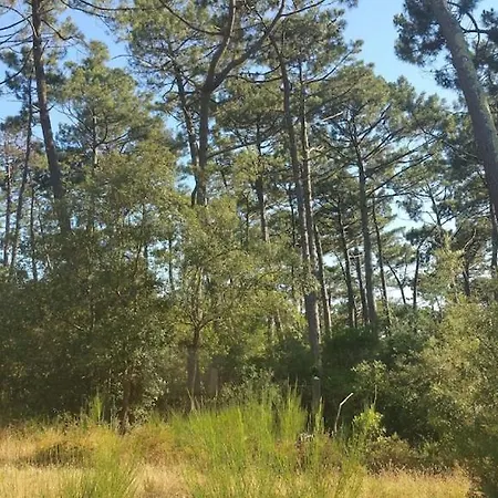 Villa California Piscine Chauffee 14x4m Moulleau Abatilles 10 Pers