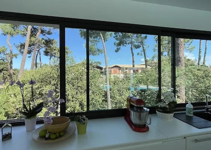 California Piscine Chauffée 14x4m Moulleau Abatilles 10 Pers