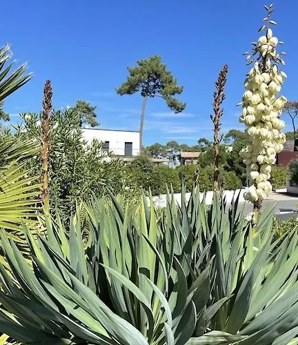 Villa California Piscine Chauffée 14x4m Moulleau Abatilles 10 Pers