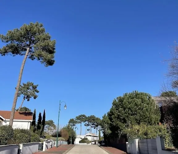 California Piscine Chauffee 14x4m Moulleau Abatilles 10 Pers Villa