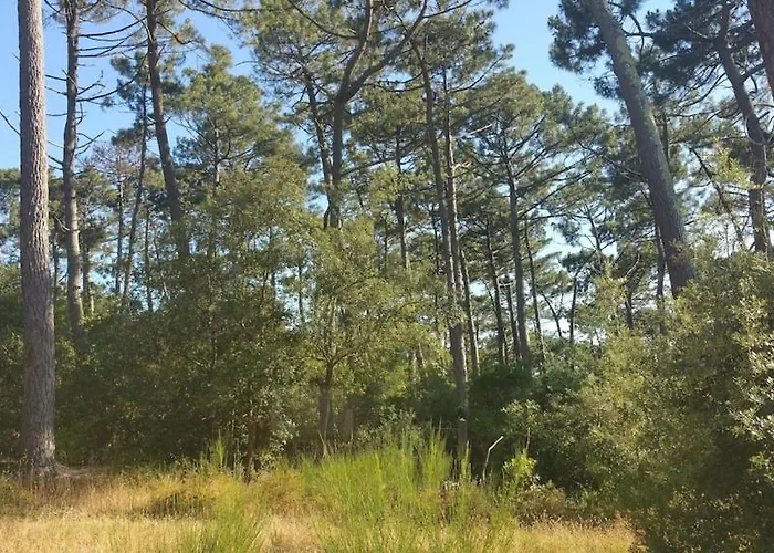 Villa California Piscine Chauffee 14x4m Moulleau Abatilles 10 Pers