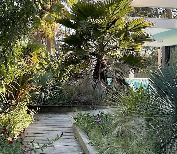 California Piscine Chauffee 14x4m Moulleau Abatilles 10 Pers *